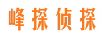 禄劝市私家侦探